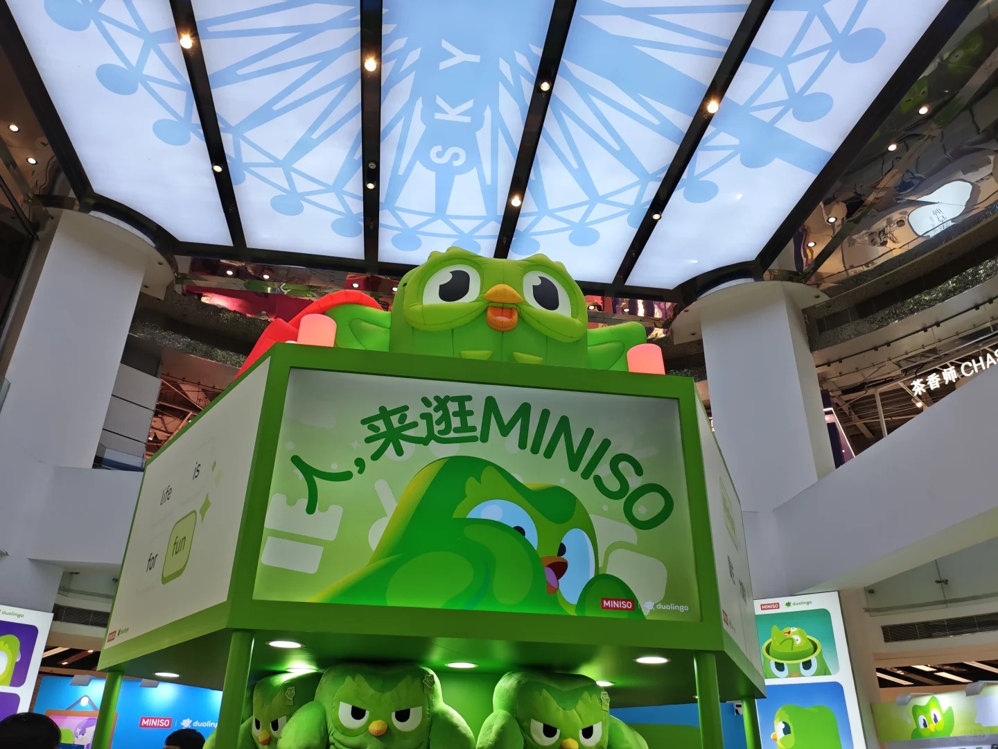 Duolingo’s green owl just invaded MINISO, and Chinese shoppers are not safe