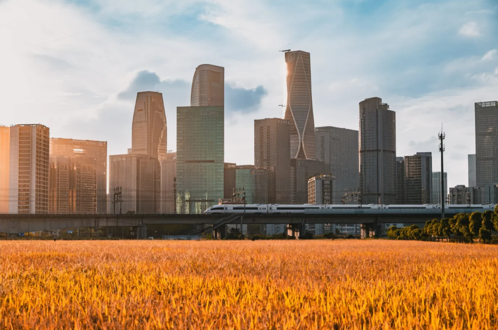 Rice Fields and Skyscrapers: Welcome to Hangzhou’s Wildest View