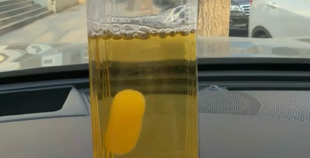Nongfu Spring Didn’t Expect This — Gen-Z Is Using Its Tea Drinks to Raise “Tea Mold Pets” 🫖👀