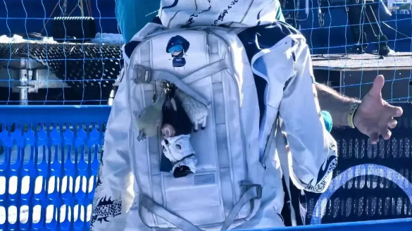 Eileen Gu Brings a Fan-Gifted Labubu to the Olympics — And It Steals the Show