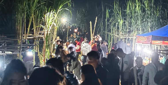Sichuan Farm Now Lets You “Steal” Sugarcane for 9.9 RMB… and Yes, a Dog Will Chase You 🐕🌾