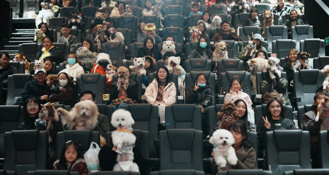 China’s Dog Owners Are Taking Their Pups to Watch Zootopia 2