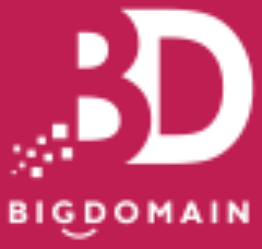 BigDomain logo